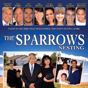 The-Sparrows-Nestings